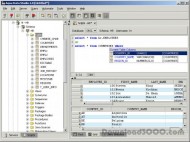 Aqua Data Studio screenshot